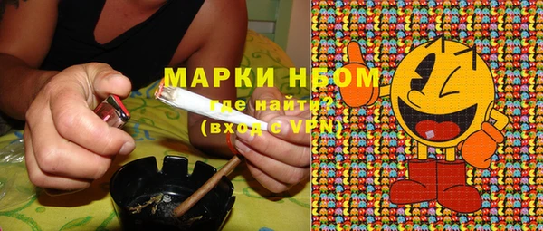 соль ск Вяземский