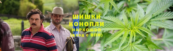 молекула духа Вязьма