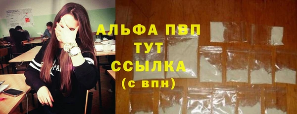 соль ск Вяземский