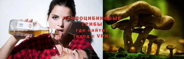СК Вязники