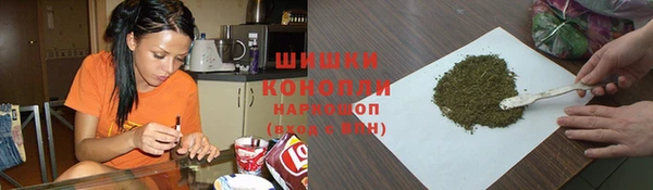 молекула духа Вязьма
