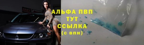 соль ск Вяземский