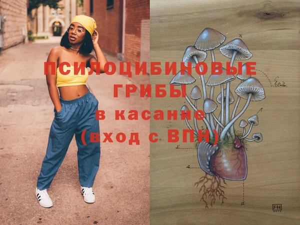молекула духа Вязьма