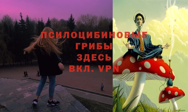 молекула духа Вязьма