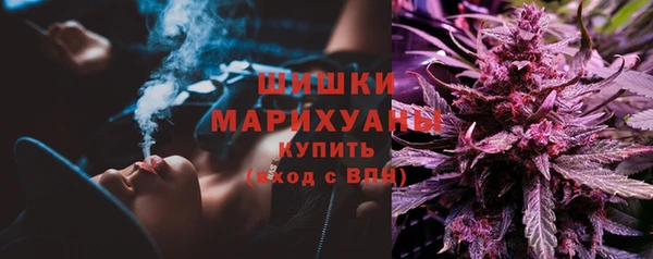 соль ск Вяземский