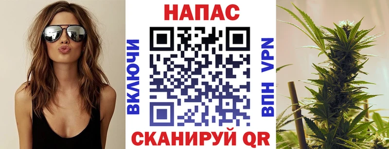 Конопля гибрид  Перевоз 